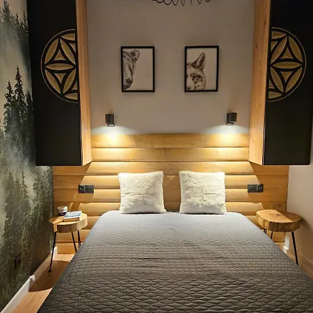 公寓 Siwy Wierch 扎科帕内